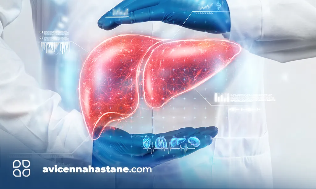 safra-kesesi-avicenna